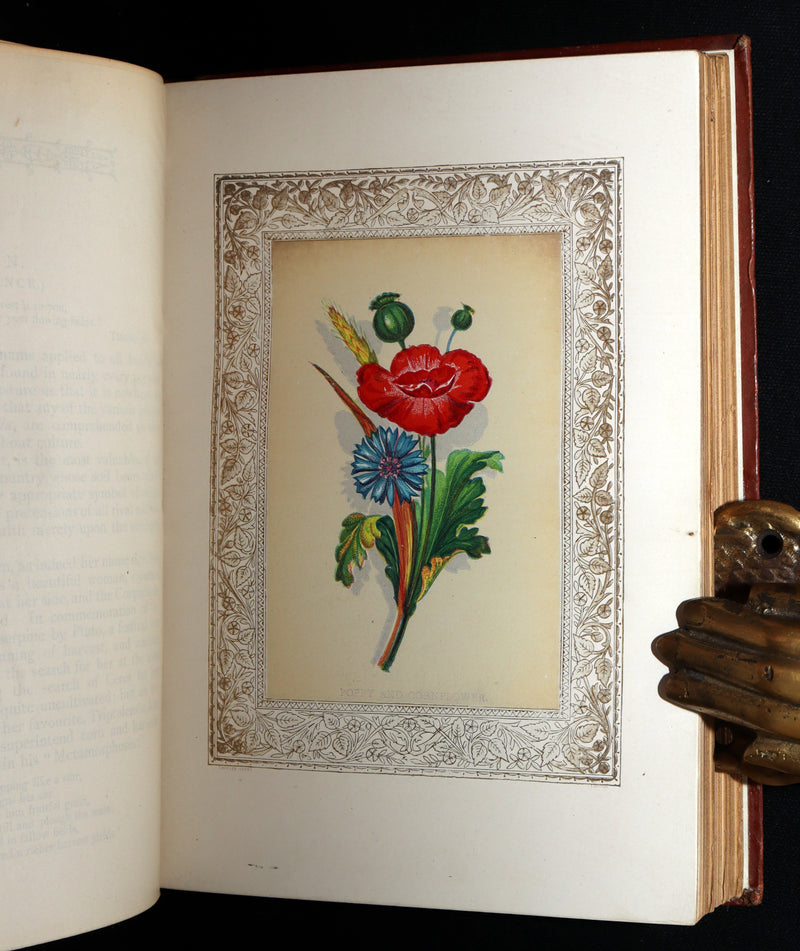 1870 Rare Victorian Floriography Book - Flora Symbolica, The Language of Flowers