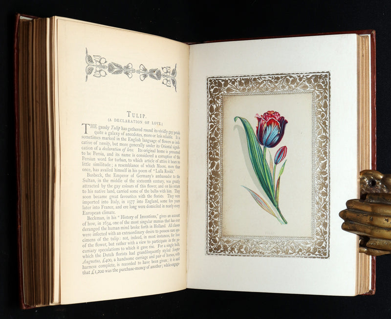 1870 Rare Victorian Floriography Book - Flora Symbolica, The Language of Flowers