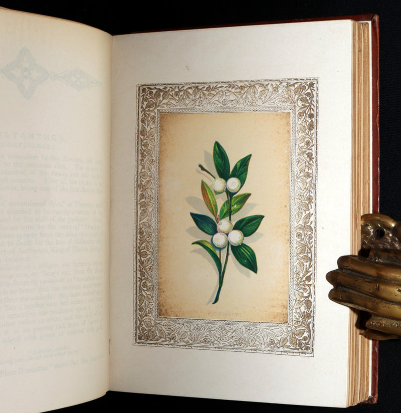 1870 Rare Victorian Floriography Book - Flora Symbolica, The Language of Flowers
