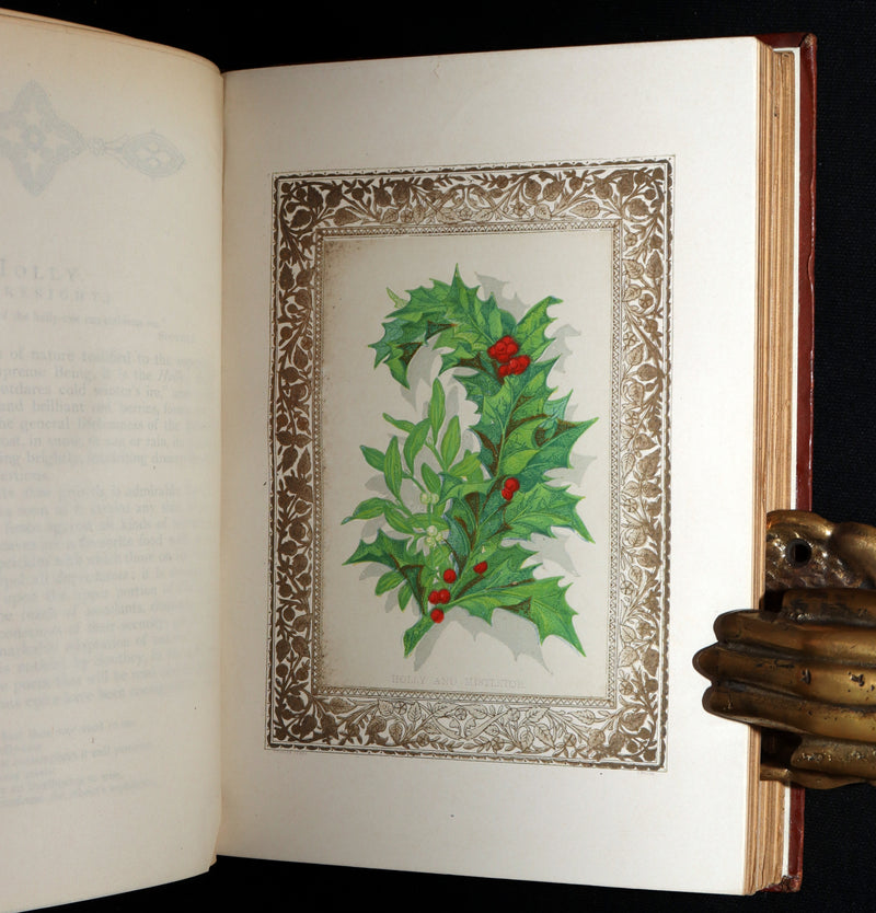 1870 Rare Victorian Floriography Book - Flora Symbolica, The Language of Flowers