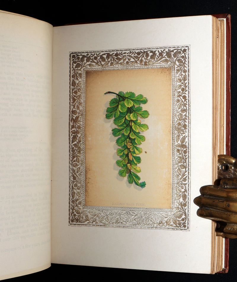 1870 Rare Victorian Floriography Book - Flora Symbolica, The Language of Flowers