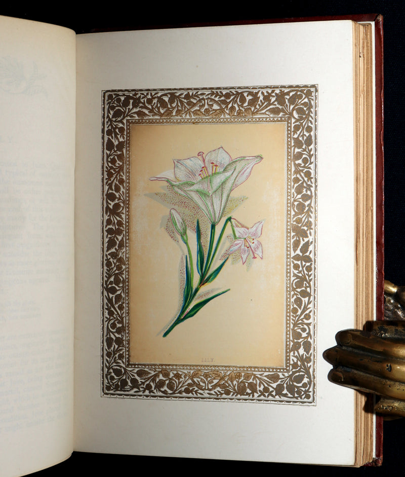 1870 Rare Victorian Floriography Book - Flora Symbolica, The Language of Flowers