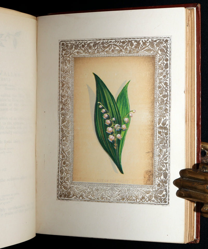 1870 Rare Victorian Floriography Book - Flora Symbolica, The Language of Flowers