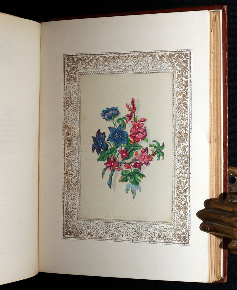 1870 Rare Victorian Floriography Book - Flora Symbolica, The Language of Flowers