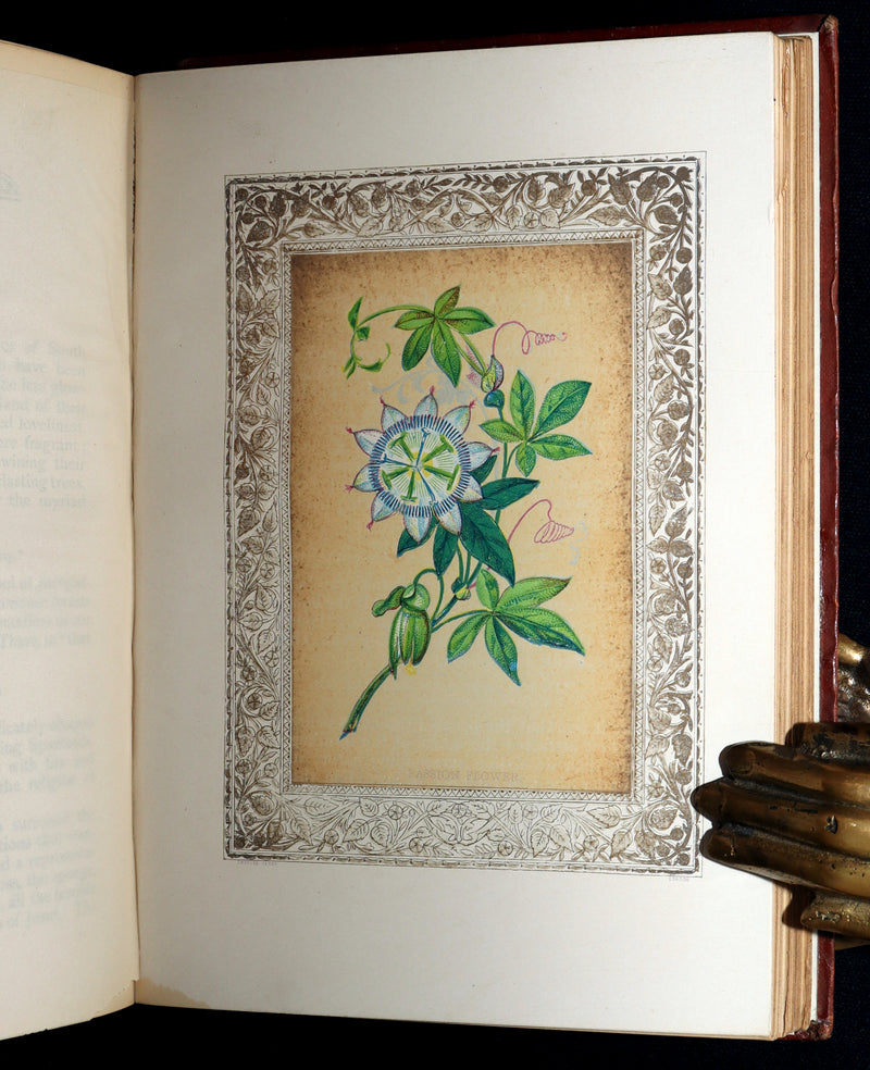 1870 Rare Victorian Floriography Book - Flora Symbolica, The Language of Flowers