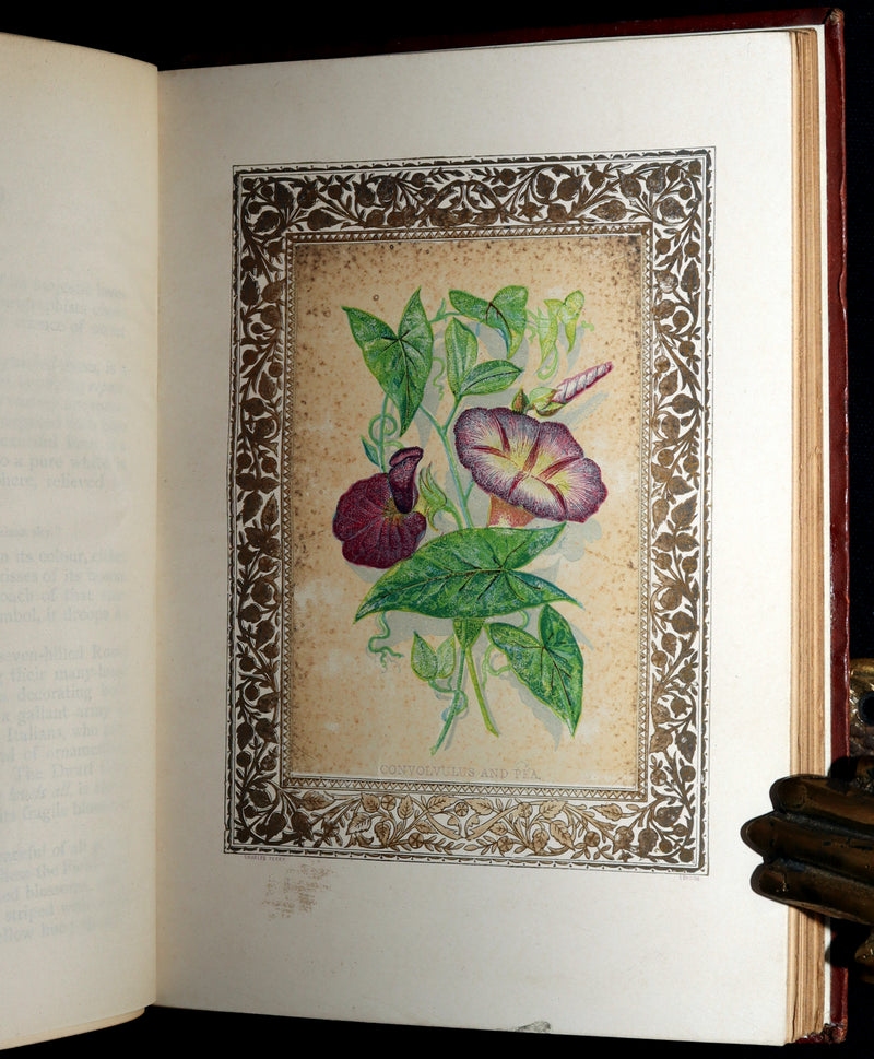 1870 Rare Victorian Floriography Book - Flora Symbolica, The Language of Flowers