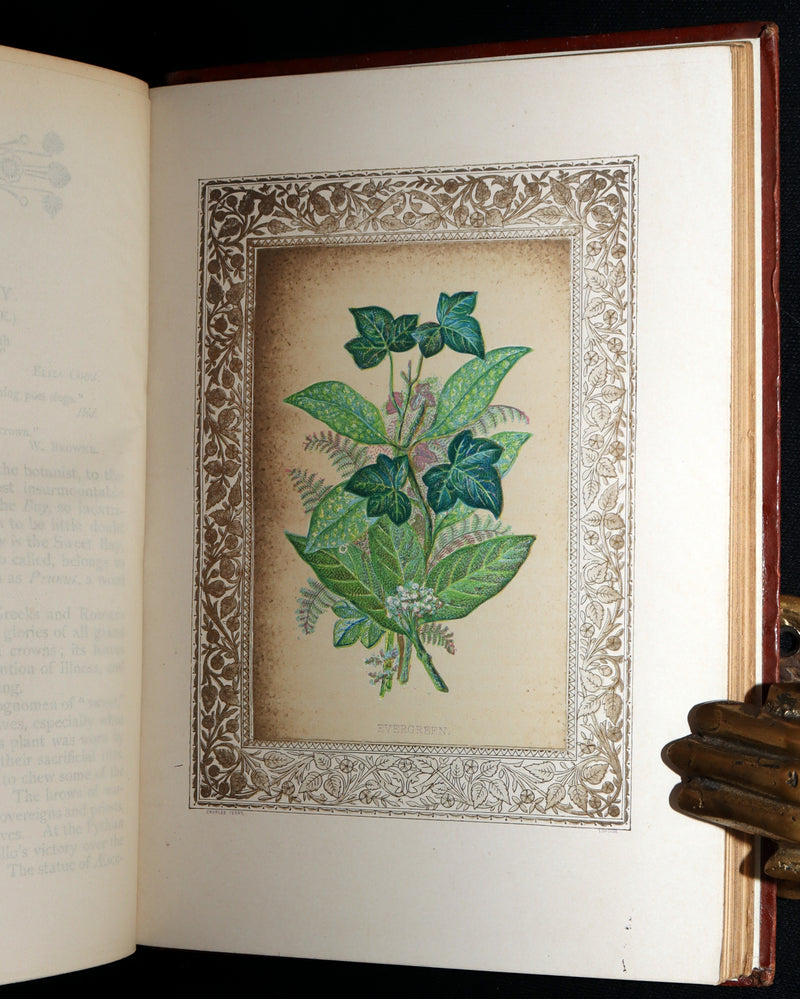 1870 Rare Victorian Floriography Book - Flora Symbolica, The Language of Flowers