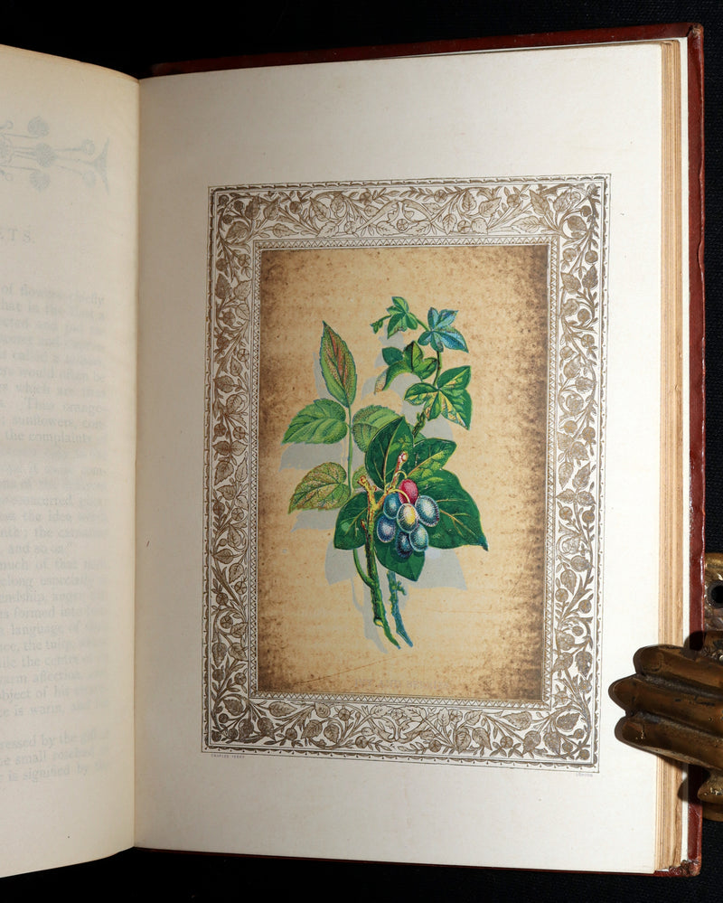1870 Rare Victorian Floriography Book - Flora Symbolica, The Language of Flowers