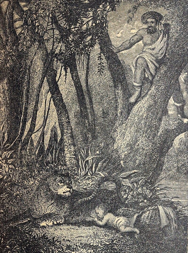 1890 Rare Book - Jerusalem Delivered by Torquato Tasso, Illustrated