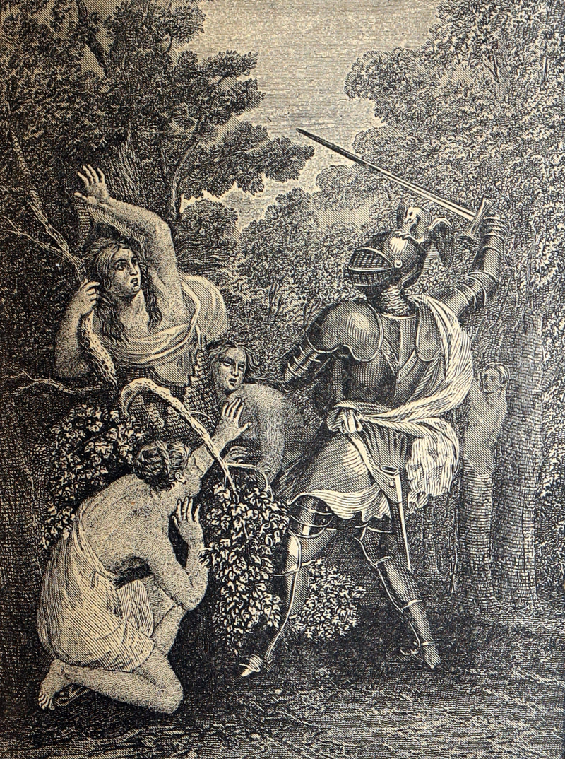 1890 Rare Book - Jerusalem Delivered by Torquato Tasso, Illustrated