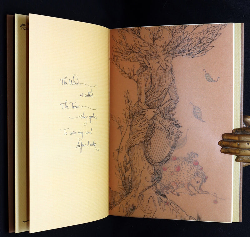 2015 Rare First Edition - Tree Whispers, Illustrated by Charles van Sandwyk