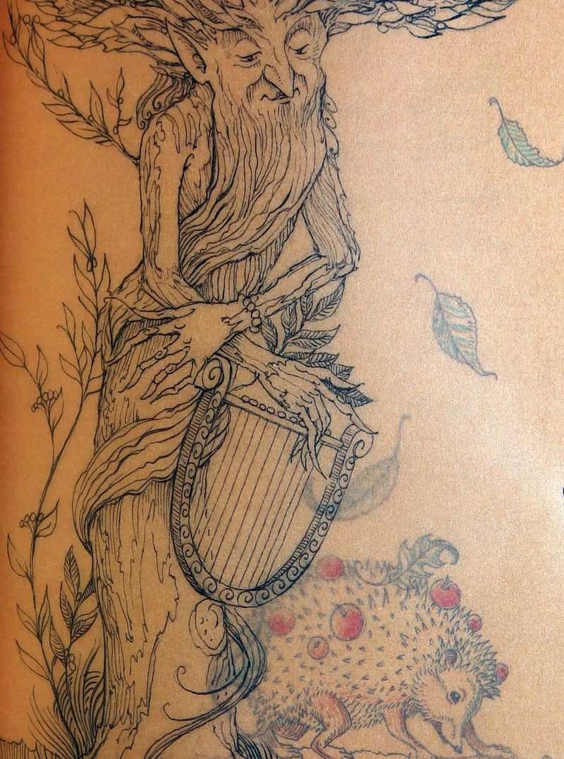 2015 Rare First Edition - Tree Whispers, Illustrated by Charles van Sandwyk