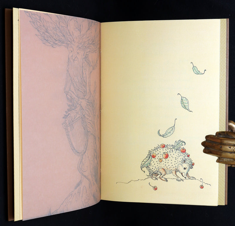 2015 Rare First Edition - Tree Whispers, Illustrated by Charles van Sandwyk