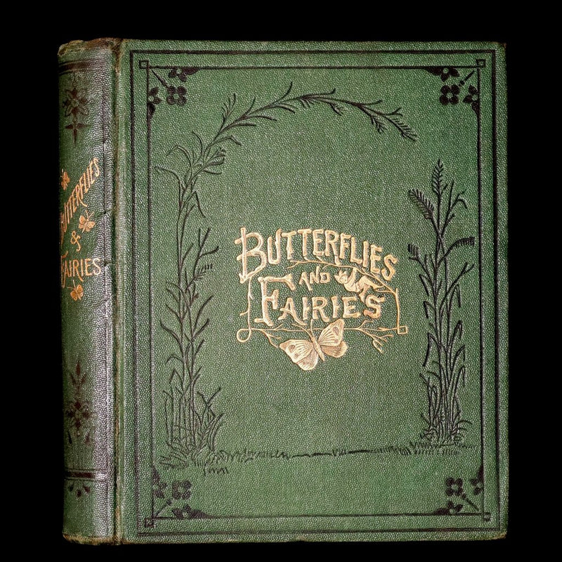 1873 Scarce Victorian Book - Butterflies and Fairies by Mary Albert, Illustrated