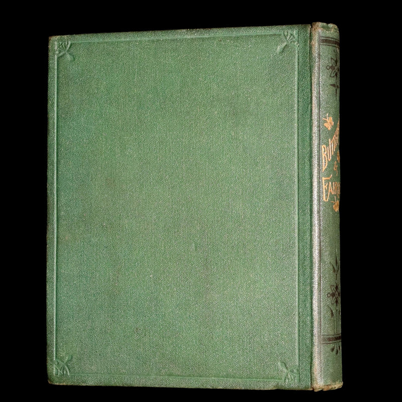 1873 Scarce Victorian Book - Butterflies and Fairies by Mary Albert, Illustrated