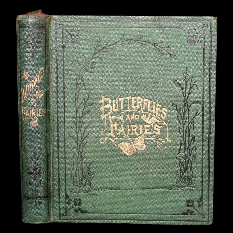 1873 Scarce Victorian Book - Butterflies and Fairies by Mary Albert, Illustrated