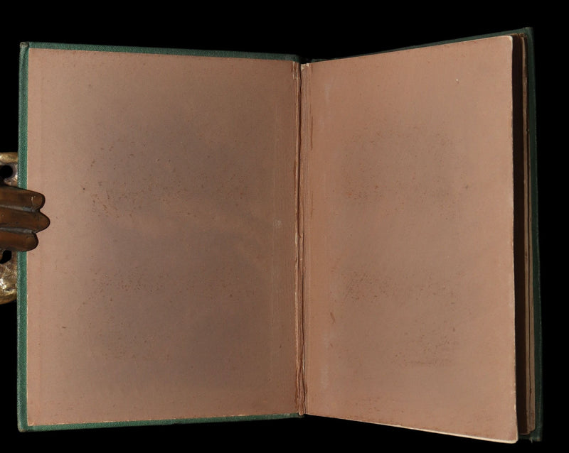 1873 Scarce Victorian Book - Butterflies and Fairies by Mary Albert, Illustrated