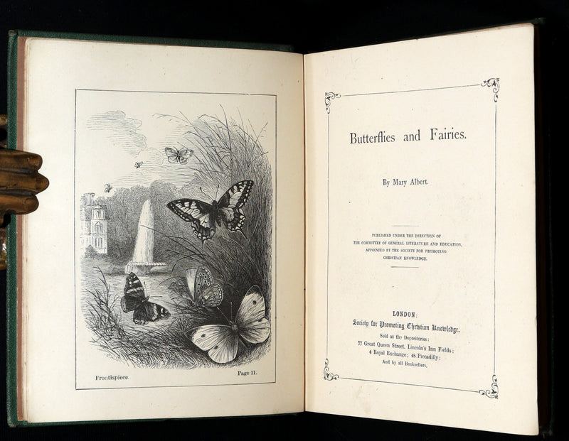 1873 Scarce Victorian Book - Butterflies and Fairies by Mary Albert, Illustrated