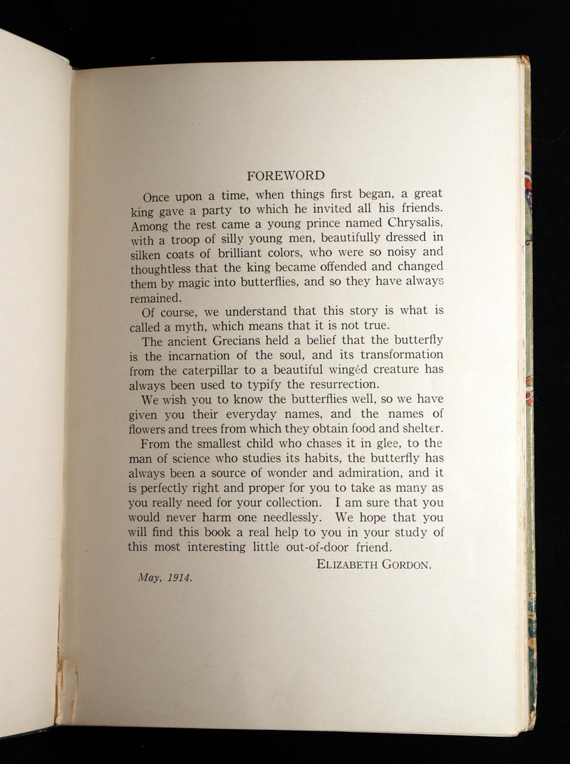 1914 First Edition - The Butterfly Babies Book Illustrated by M. T. (Penny) Ross