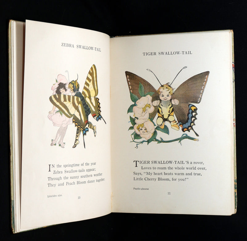 1914 First Edition - The Butterfly Babies Book Illustrated by M. T. (Penny) Ross