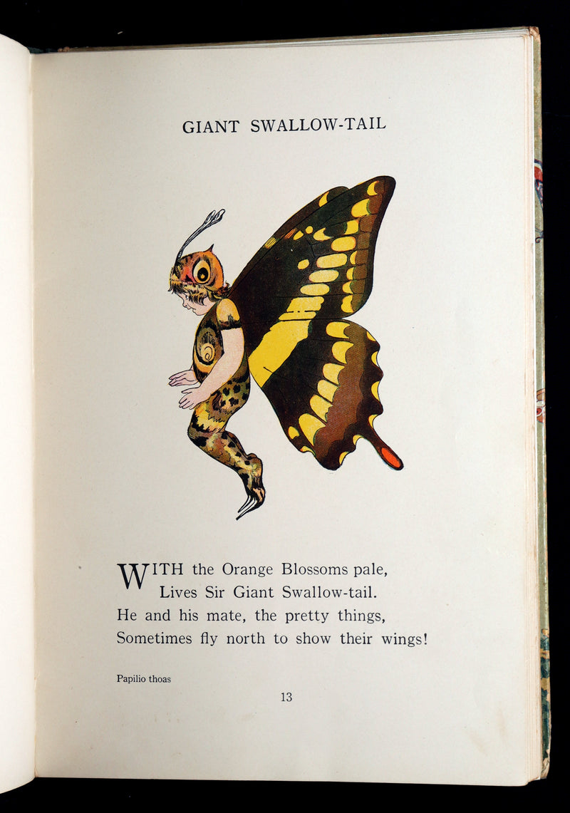 1914 First Edition - The Butterfly Babies Book Illustrated by M. T. (Penny) Ross