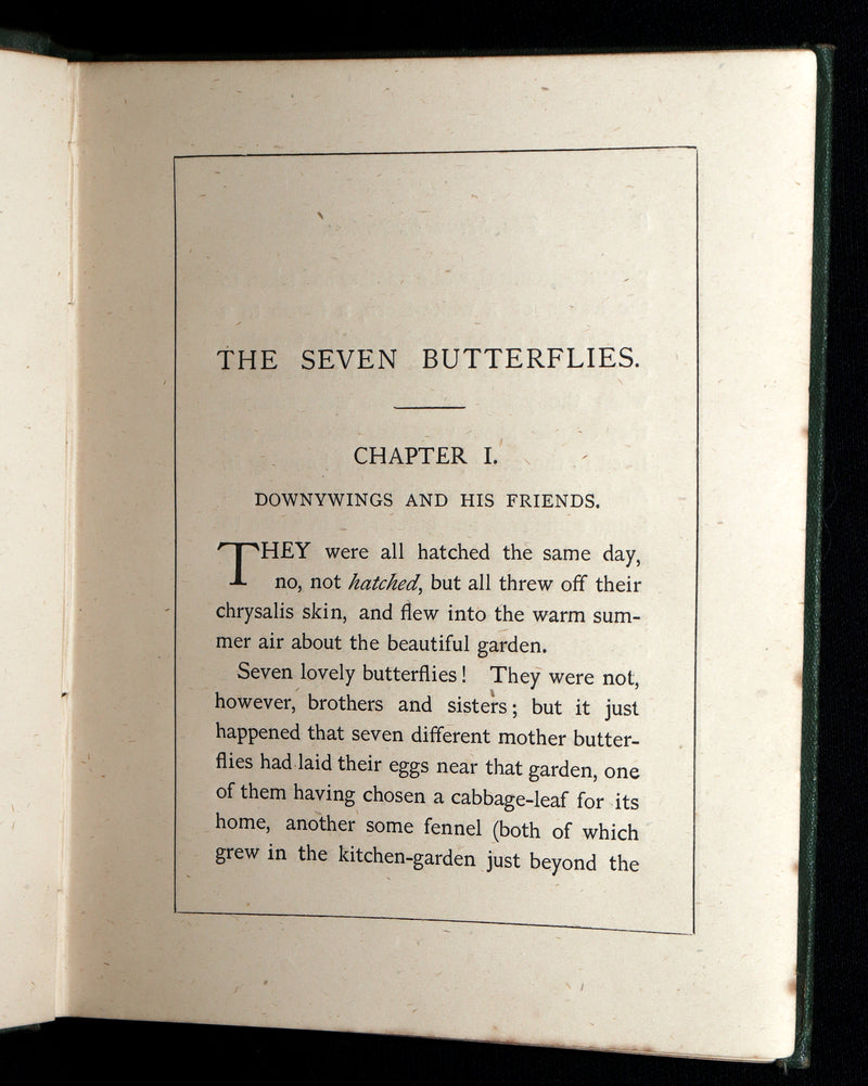1873 Scarce Victorian Book - Butterflies and Fairies by Mary Albert, Illustrated