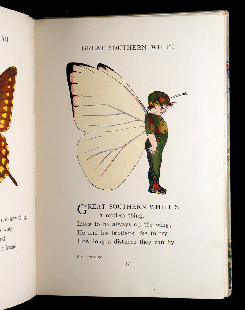 1914 First Edition - The Butterfly Babies Book Illustrated by M. T. (Penny) Ross
