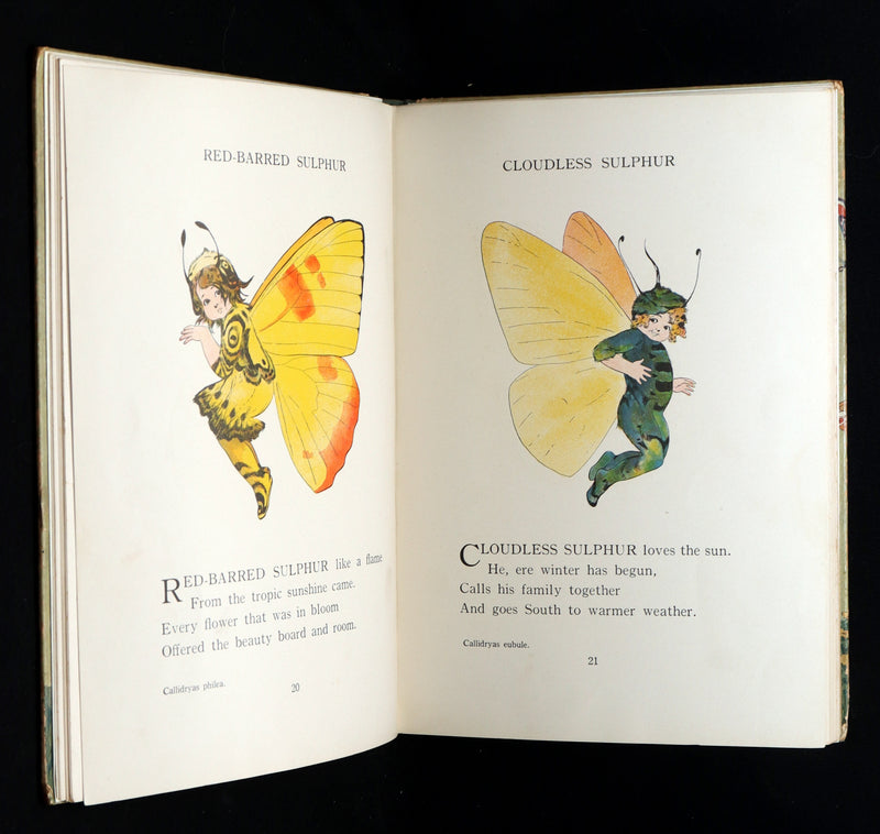 1914 First Edition - The Butterfly Babies Book Illustrated by M. T. (Penny) Ross