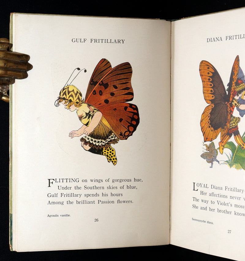 1914 First Edition - The Butterfly Babies Book Illustrated by M. T. (Penny) Ross