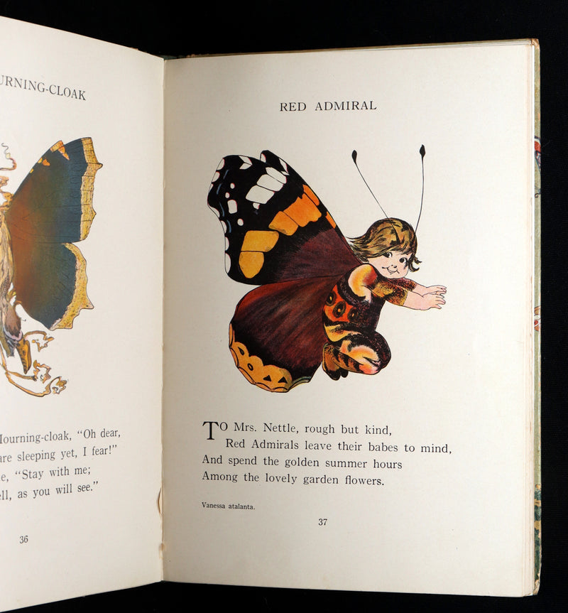 1914 First Edition - The Butterfly Babies Book Illustrated by M. T. (Penny) Ross