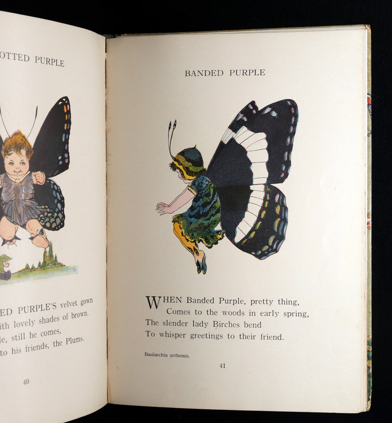 1914 First Edition - The Butterfly Babies Book Illustrated by M. T. (Penny) Ross