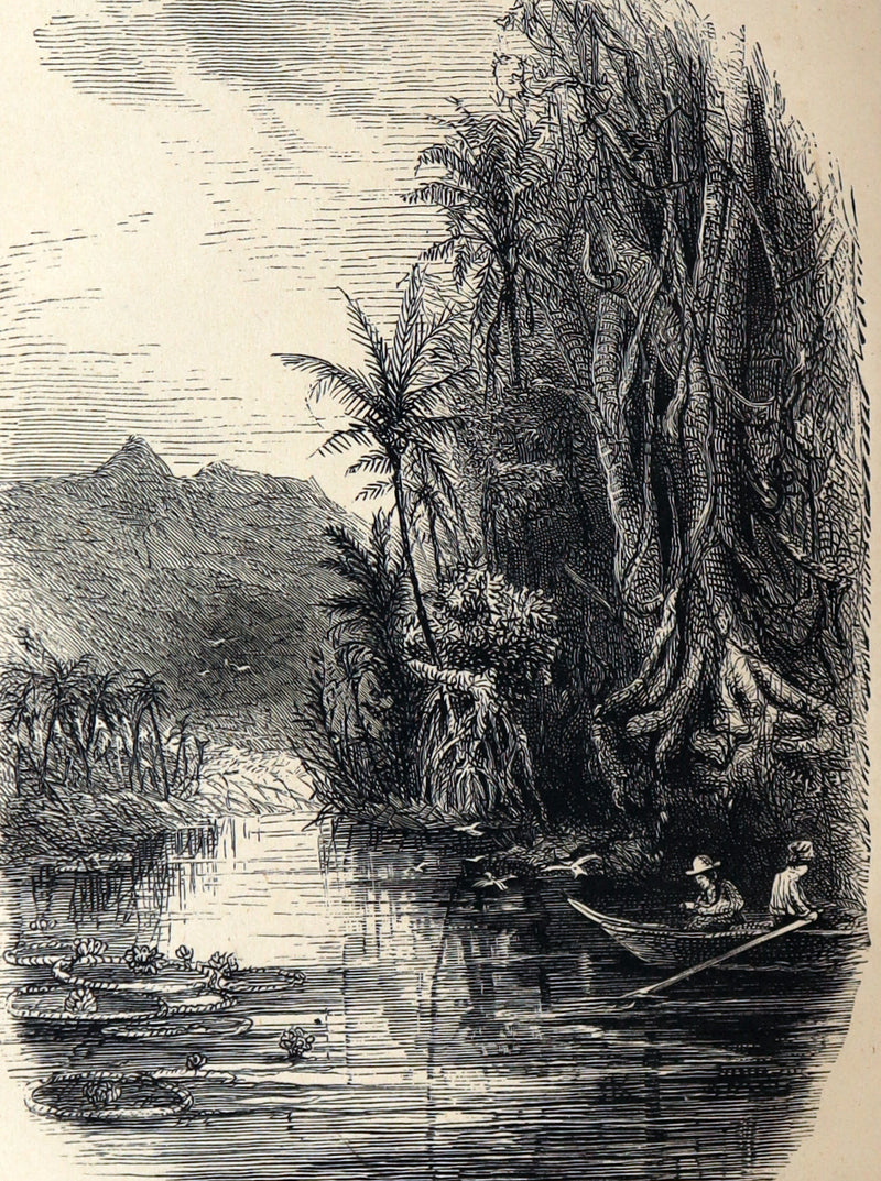 1873 Scarce Victorian Book - Butterflies and Fairies by Mary Albert, Illustrated