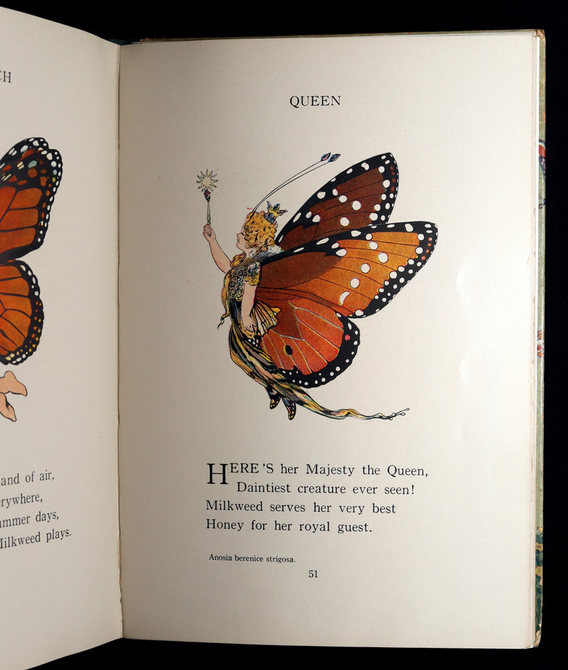 1914 First Edition - The Butterfly Babies Book Illustrated by M. T. (Penny) Ross