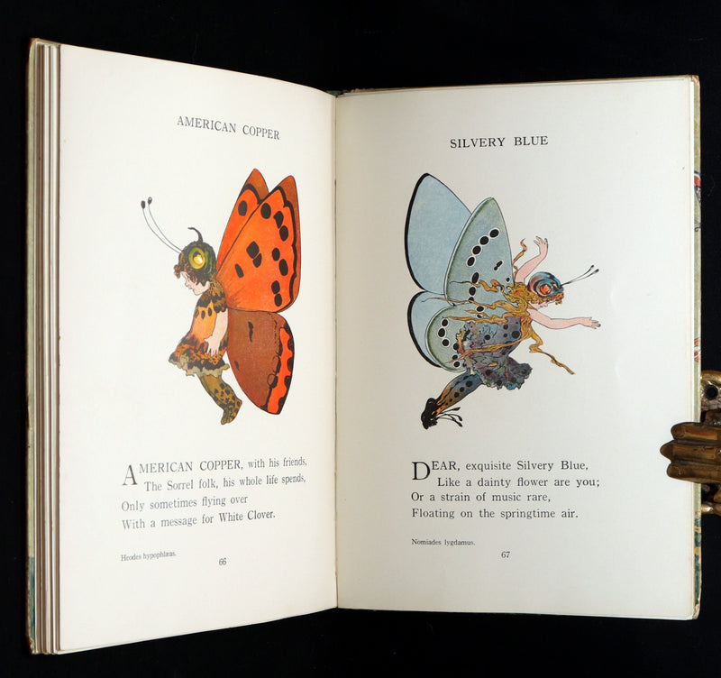 1914 First Edition - The Butterfly Babies Book Illustrated by M. T. (Penny) Ross