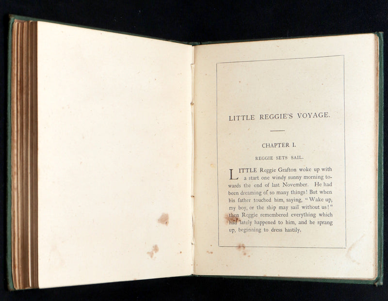 1873 Scarce Victorian Book - Butterflies and Fairies by Mary Albert, Illustrated