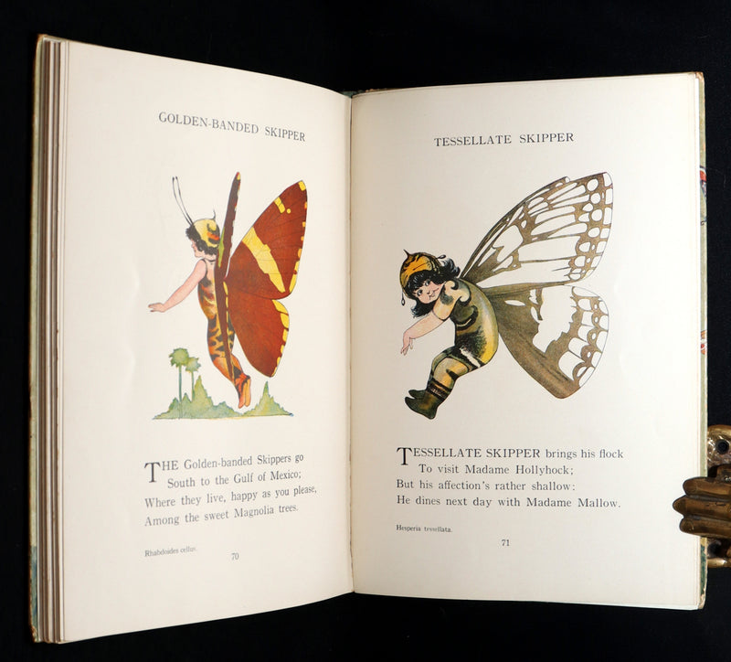 1914 First Edition - The Butterfly Babies Book Illustrated by M. T. (Penny) Ross