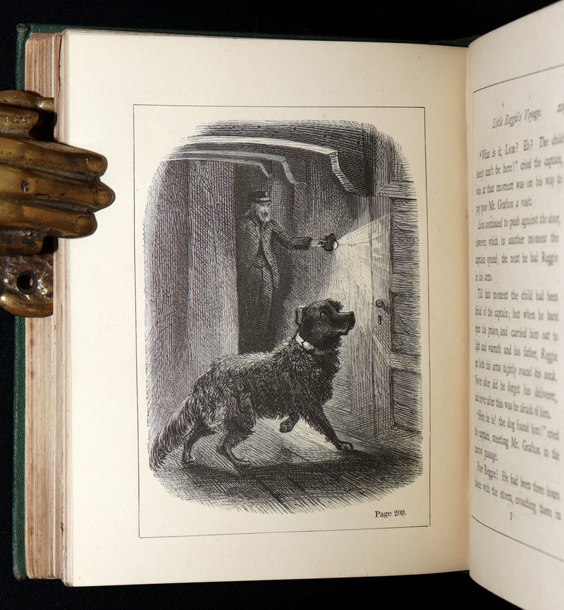 1873 Scarce Victorian Book - Butterflies and Fairies by Mary Albert, Illustrated