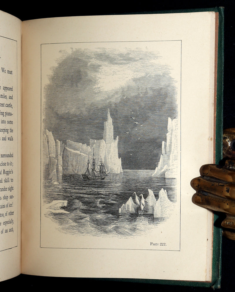 1873 Scarce Victorian Book - Butterflies and Fairies by Mary Albert, Illustrated