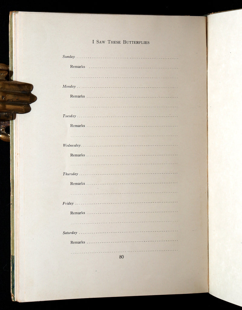 1914 First Edition - The Butterfly Babies Book Illustrated by M. T. (Penny) Ross