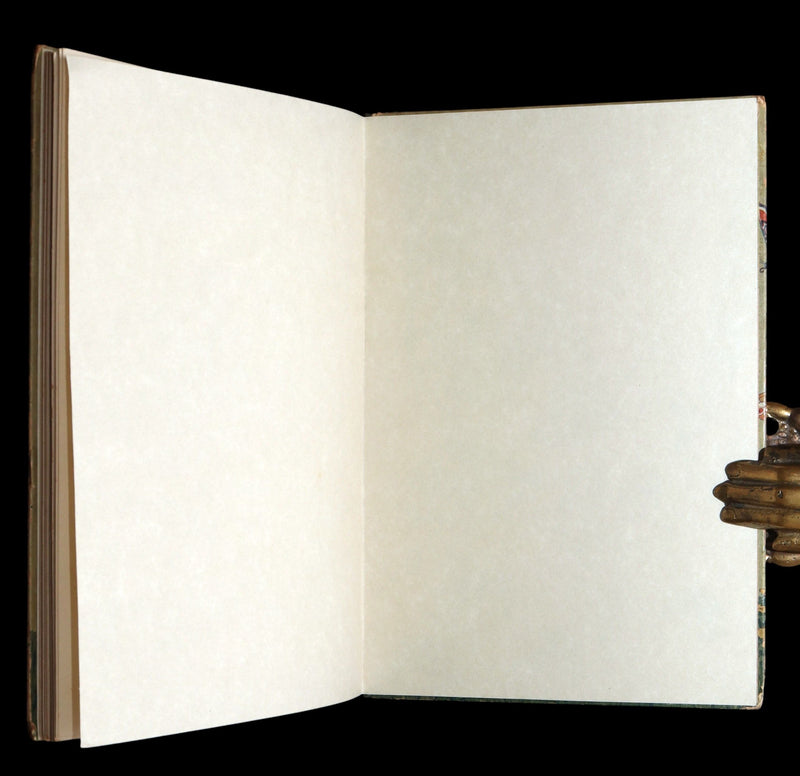 1914 First Edition - The Butterfly Babies Book Illustrated by M. T. (Penny) Ross
