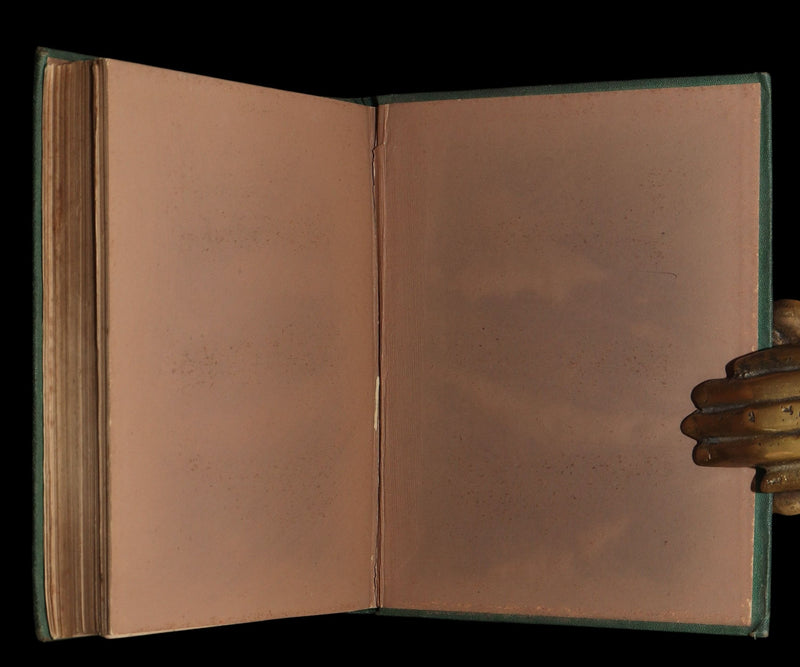 1873 Scarce Victorian Book - Butterflies and Fairies by Mary Albert, Illustrated