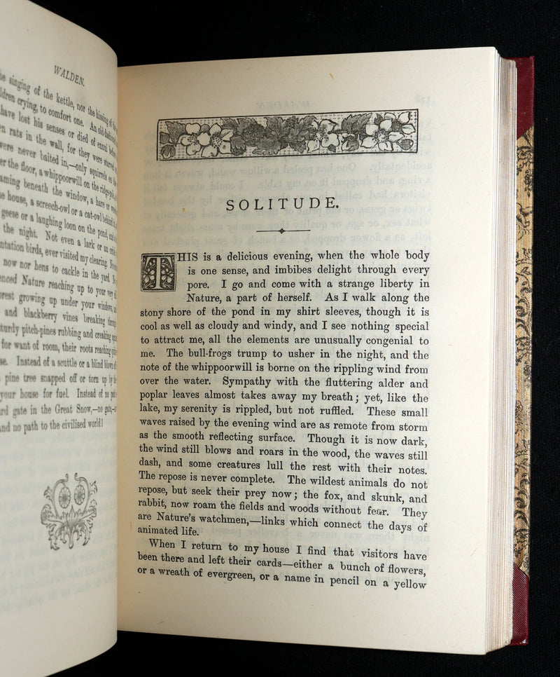 1888 Scarce Deluxe Edition - Walden; A Week on the Concord; Essays of Thoreau