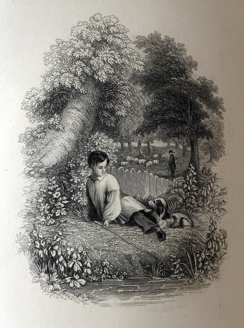 1859 Rare Book - The Complete Poetical Works of William Cowper, Illustrated