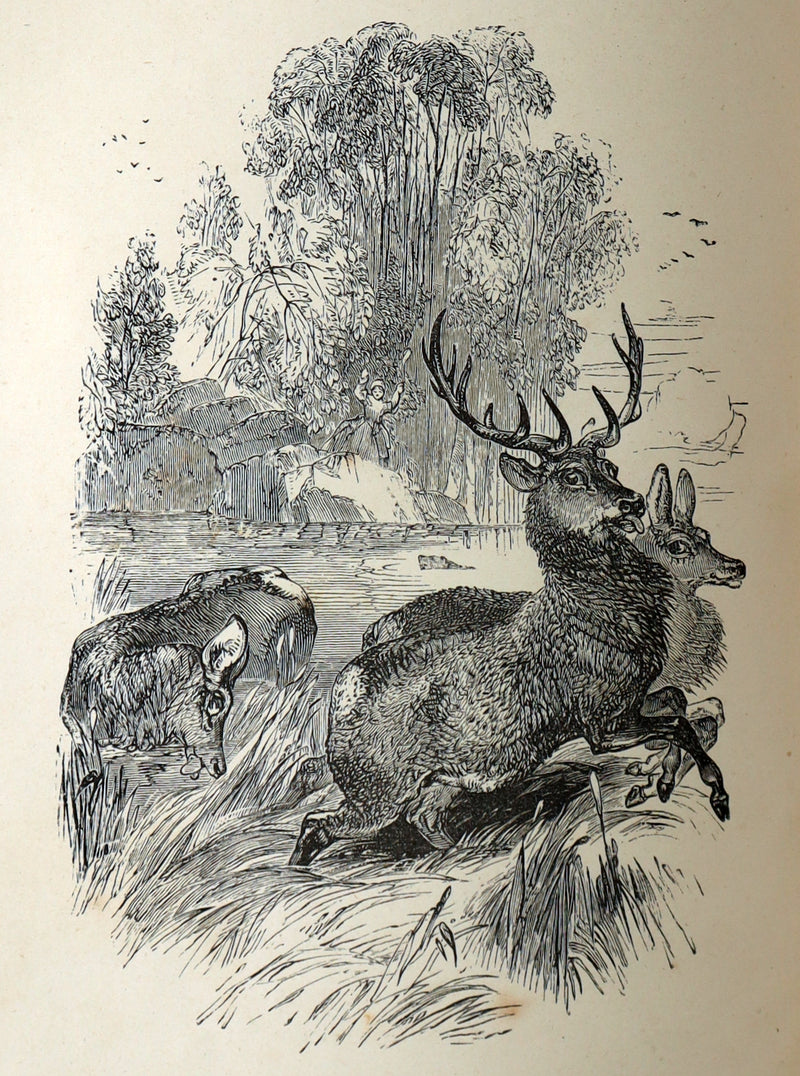 1872 Rare Book - Winter Evenings, Tales of Travellers by Maria Hack, Illustrated