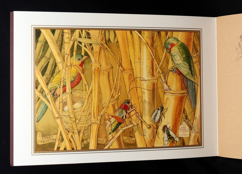 2021 Rare book - Animal Wisdom written and illustrated by Charles van Sandwyk