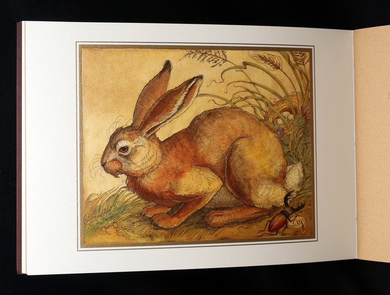 2021 Rare book - Animal Wisdom written and illustrated by Charles van Sandwyk