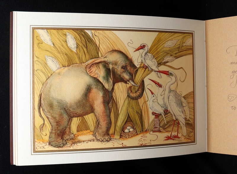 2021 Rare book - Animal Wisdom written and illustrated by Charles van Sandwyk