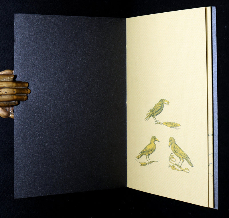 2018 Scarce Triptych - Splendid Crow Field Guide to Decent Humans by van Sandwyk