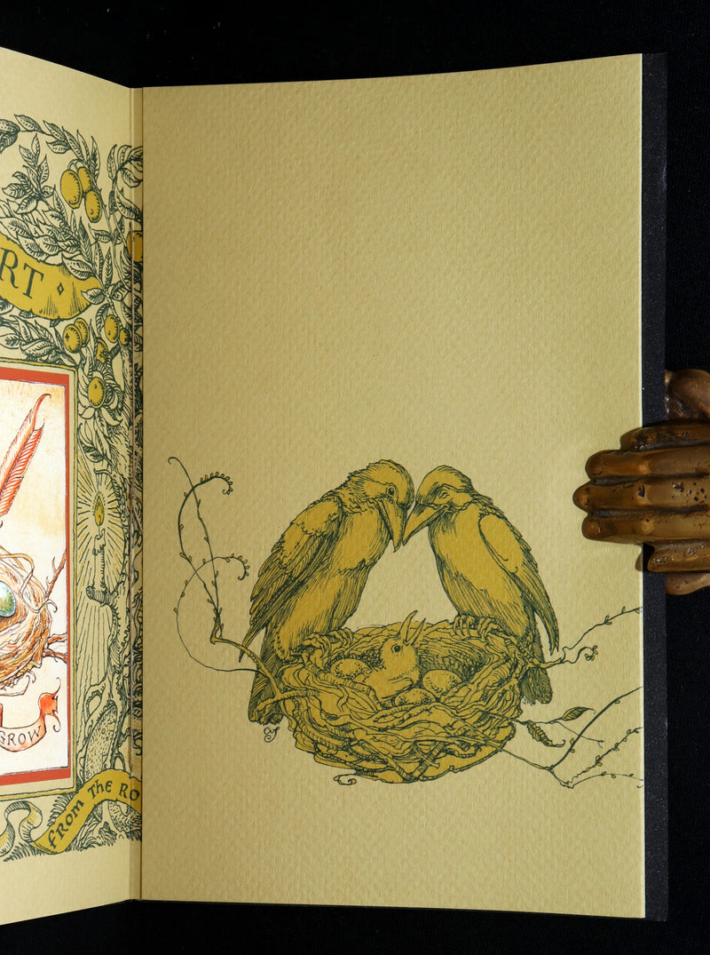 2018 Scarce Triptych - Splendid Crow Field Guide to Decent Humans by van Sandwyk