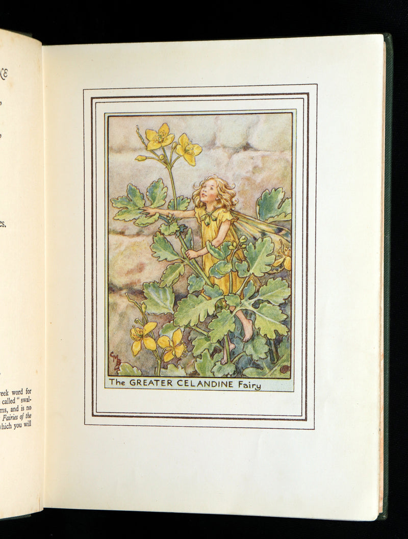 1950 First Edition - Fairies of the Flowers and Trees by Cicely Mary Barker